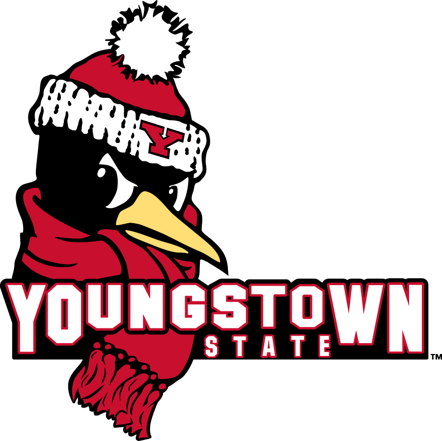 Youngstown State Penguins 2018-Pres Secondary Logo diy iron on heat transfer